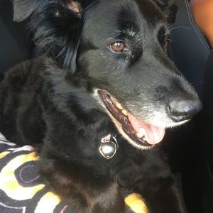 Meet your Posher, Riley